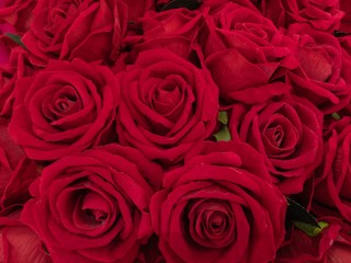 red rose bouquet background