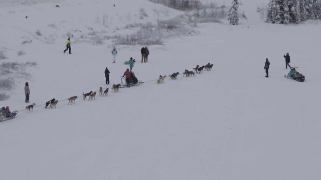 Anchorage dog sled teams preparing on cold winter day, slow motion aerial pan