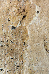 Real natural shell stone. shell texture.