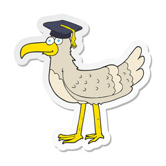 sticker of a cartoon seagull with graduate cap