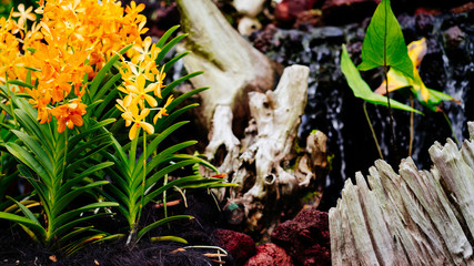 Nature Views