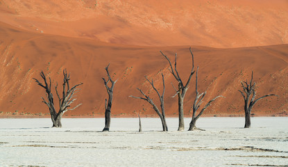 Deadvlei, Sussusvlei