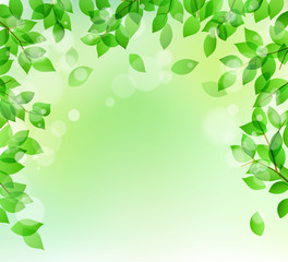 Fresh green and sunbeams background material