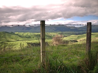 Wood and wire fence with rolling green hills and autumn plants and trees outside Auckland, New Zealand with blue sky and gray and white clouds and mountains in background