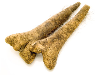 夕張長芋　ながいも　長芋　土付長芋