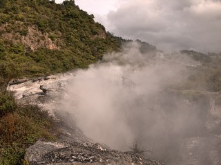 Volcanic landscape with geothermal pool, steam rising from geyser volcanic rock, trees and vegetation in Rotorua, New Zealand under gray cloudy sky