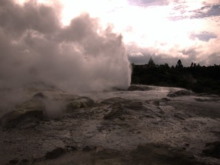 Rocky volcanic landscape in Rotorua, New Zealand with trees, bushes and rocks and steam rising from geysers under gray overcast sky
