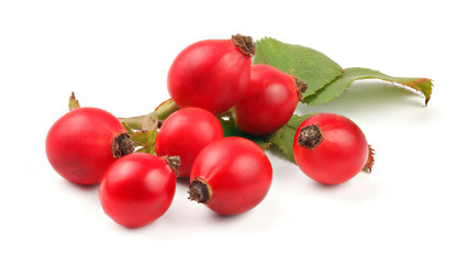 Rosehips (Rosa canina fruits) isolated on white background.