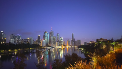 Obraz premium szeroki kąt wczesnego porannego klipu brisbane z kangura