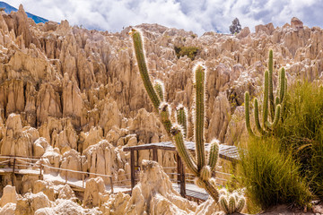 Panorama of Moon Valley with cactus, Bolivia