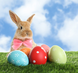 Colorful painted Easter eggs on green grass against white background