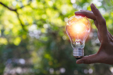 Hand holding light bulb for energy power concept in nature background.