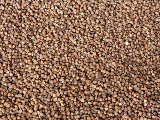 buckwheat groats on white