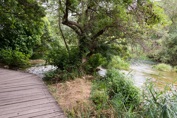 Obraz premium Krka National Park in Croatia