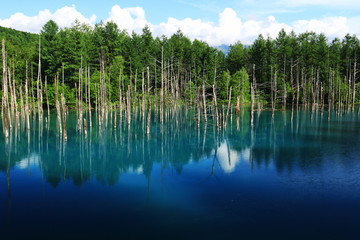 	北海道十勝連峰　青い池