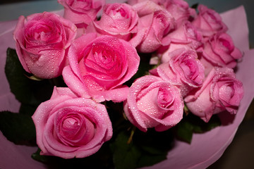 bouquet of pink roses