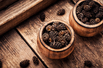 Healing alder cones