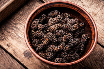Healing alder cones