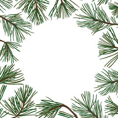 Naklejka na ściany i meble pine branches with green needles