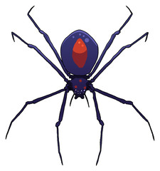 spider