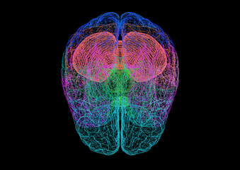 Brain Sketch – Blueprint 