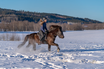 Young Swedish woman enjoying a ride on her Icelandic horse in winter