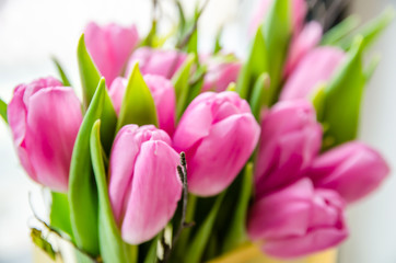 Obraz na płótnie Canvas Beautiful pink tulips