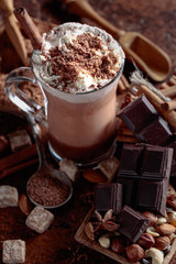 Cocoa with cream, cinnamon, chocolate pieces and various spices.