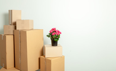 Moving Day. Cardboard boxes and pot with plants against gray wall. Copy space for text.