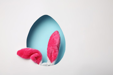 View of furry Easter bunny ears on color background through egg shaped hole, space for text