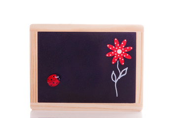 Chalkboard with flower and ladybug - white background