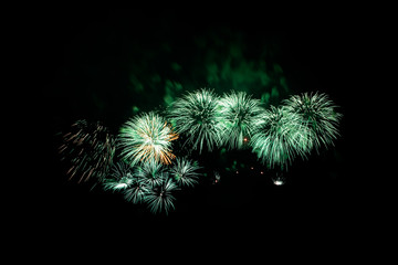 Colorful fireworks on the black sky background