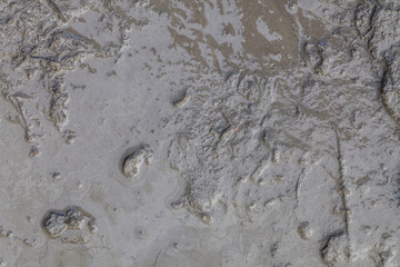 greasy wet mud background texture - obrazy, fototapety, plakaty