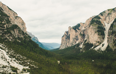 Amazing glacier made valley in the Italian Dolomites with trees in the summer ready for a hike or active holiday 