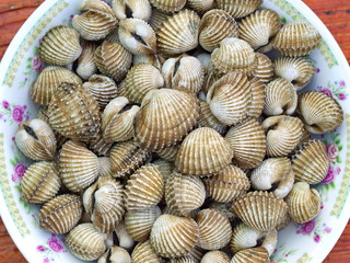 Closeup Parboiled cockles or steamed blanched clams - Northeast Thai Food 