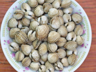 Closeup Parboiled cockles or steamed blanched clams - Northeast Thai Food 