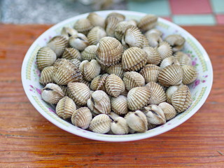 Closeup Parboiled cockles or steamed blanched clams - Northeast Thai Food 