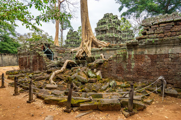 Fototapeta na wymiar Ta Prohm Temple, Cambodia: Tree grown into building