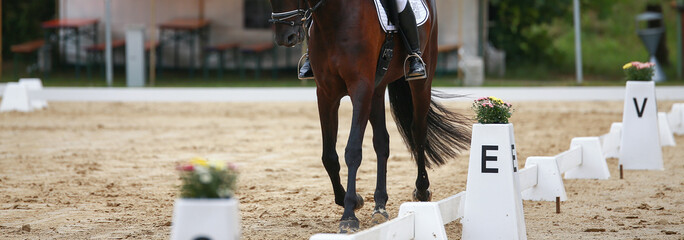 Dressage rectangle at the letter E with horse in the cut-out on the hoof-beat..