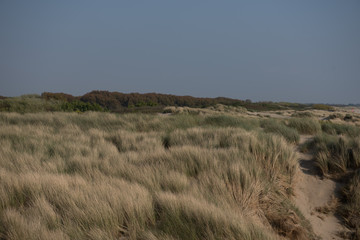 Dühnen