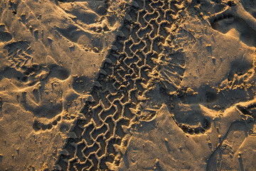 Spuren im Sand. Reifenabdruck