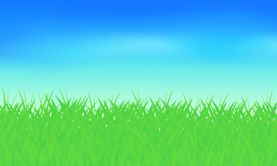 Obraz premium Niebo i trawa