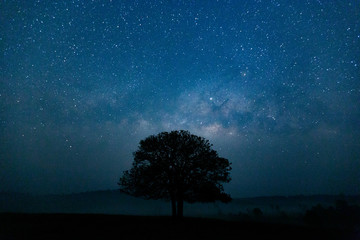 Fototapeta na wymiar Trees against starry sky with Milky Way Long exposure Photograph with grain.