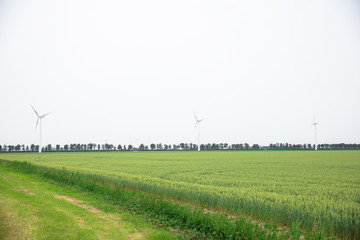 Fototapeta na wymiar Windrad in der Landschaft. Produktion von Windenergie. Wind liefert grünen und nachhaltigen Strom.
