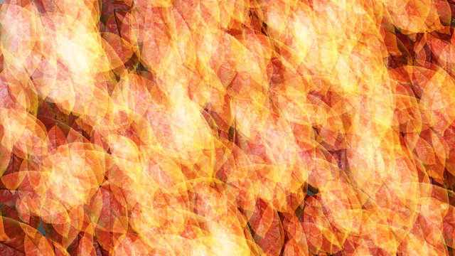 leaves overlay on the grand with srong light like fire