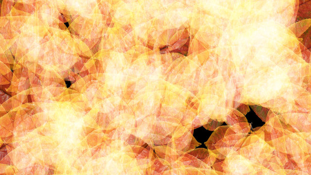 leaves overlay on the grand with srong light like fire