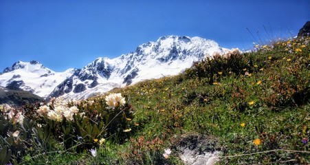 mountains and clouds