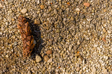 Italy, Bellagio, Lake Como, HIGH ANGLE VIEW OF pine cone ON SAND