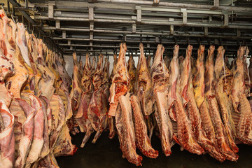 Refrigerated warehouse, hanging hooks of frozen lamb carcasses. Halal cut.