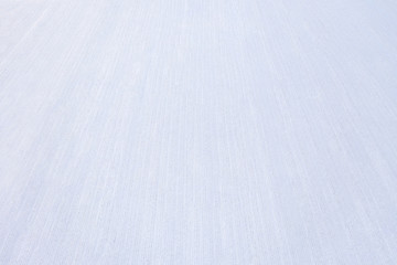 Obraz premium Aerial perspective view of snow covered agricultural field with parallel rows of stalks. Abstract winter background